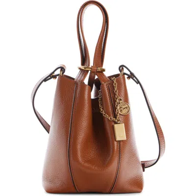 Chloé Small Spin Leather Crossbody Tote In Brown