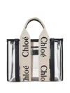 Chloé Small Tote Wooody With Strap In Multi