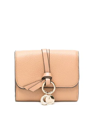 Chloé Small Trifold Wallet In Nude & Neutrals