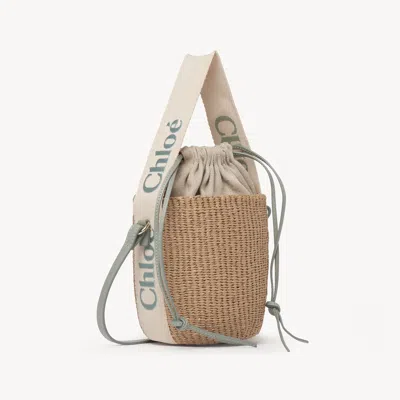 Chloé Small Woody Basket In Natural Fibers Green Size Onesize 100% Paper
