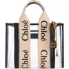 Chloé Small Woody Jelly & Leather Tote Bag In White