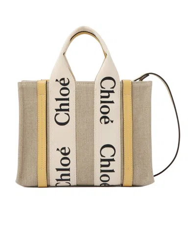 Chloé Small Woody Panelled Leather Bag In Nude