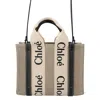 Chloé Chloe Multicolor Fabric Small Woody Shopping Bag In Multi