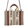 Chloé Small Woody Tote Bag Brown In Neutral