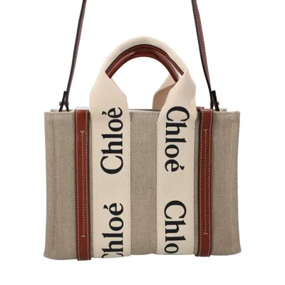 Chloé Small Woody Tote Bag Brown In Neutral