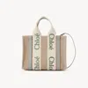 Chloé Small Woody Tote Bag In Linen Green Size Onesize 100% Linen, Calf-skin Leather