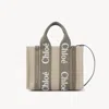 Chloé Small Woody Tote Bag In Linen Grey Size Onesize 100% Linen, Calf-skin Leather In Gray