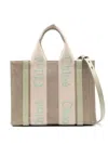 Chloé Small Woody Tote Bag In Neutrals