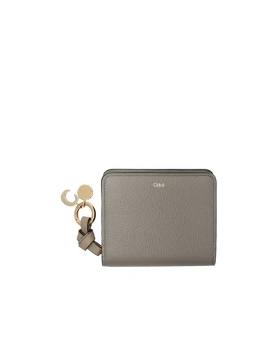 Chloé Small Zipper Wallet In Gray