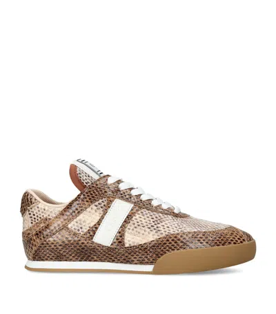 Chloé Snake-embossed Leather Kick Sneakers In Brown