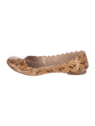 Pre-owned Chloé Snakeskin Animal Print Ballet Flats In Brown