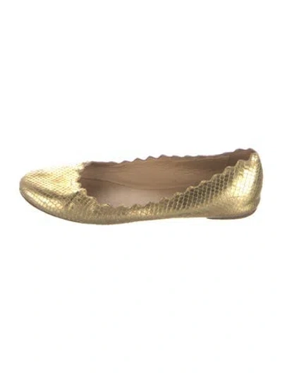 Pre-owned Chloé Snakeskin Animal Print Ballet Flats In Gold