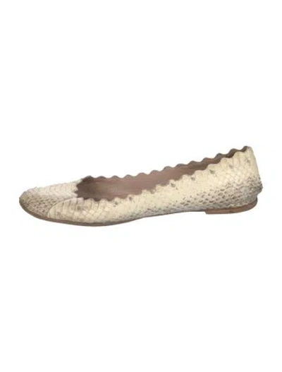 Pre-owned Chloé Snakeskin Animal Print Ballet Flats In Neutral