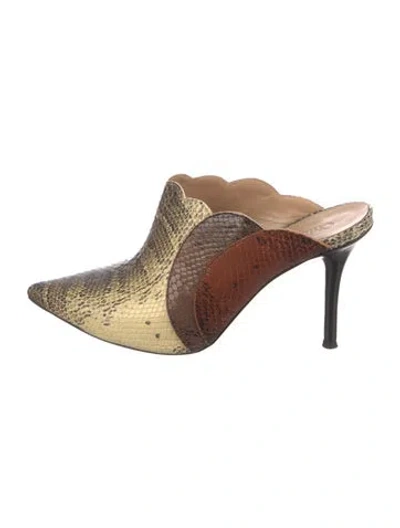 Pre-owned Chloé Snakeskin Animal Print Mules In Neutral