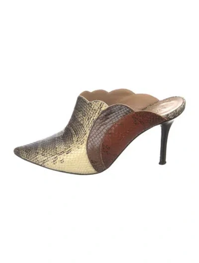 Pre-owned Chloé Snakeskin Animal Print Mules In Neutral
