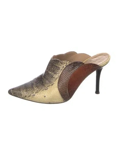 Pre-owned Chloé Snakeskin Animal Print Mules In Neutral