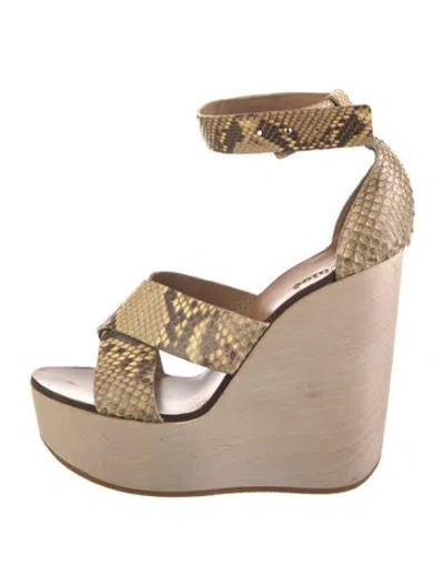 Pre-owned Chloé Snakeskin Animal Print Sandals In Brown