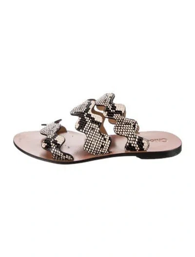 Pre-owned Chloé Snakeskin Animal Print Slides In Black