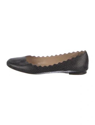 Pre-owned Chloé Snakeskin Scalloped Accent Ballet Flats In Black