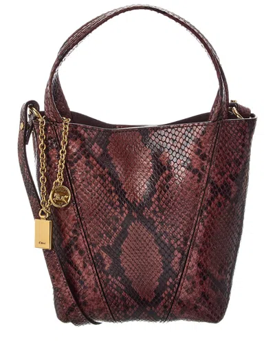 Chloé Spin Small Python-embossed Leather Bucket Bag In Burgundy