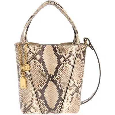 Chloé Spin Tote In Multi