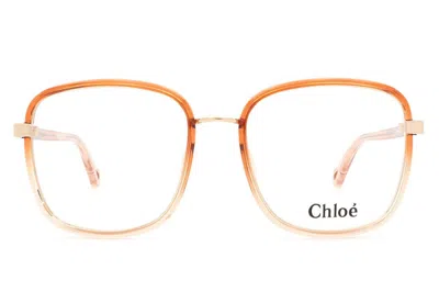 Chloé Square Frame Glasses In 001 Orange Orange Transpa