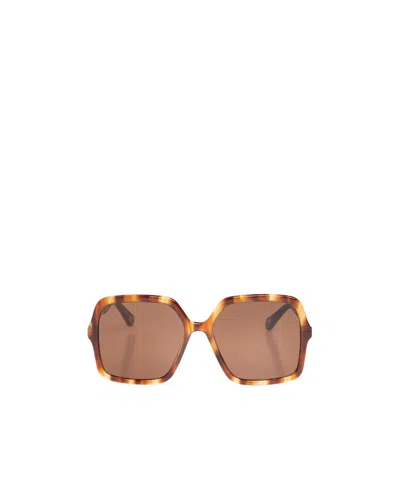 Chloé Square Frame Sunglasses In Brown