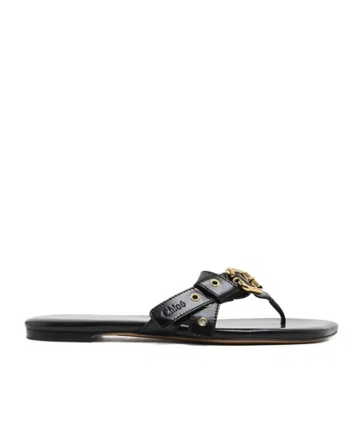 Chloé Mae Buckle-embellished Leather Flip Flops In Black