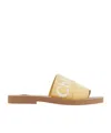 Chloé Square Toed Flat Slippers In Brown