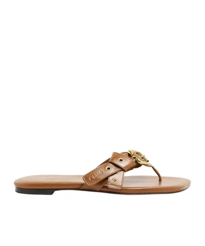 Chloé Square Toed Flat Slippers In Brown