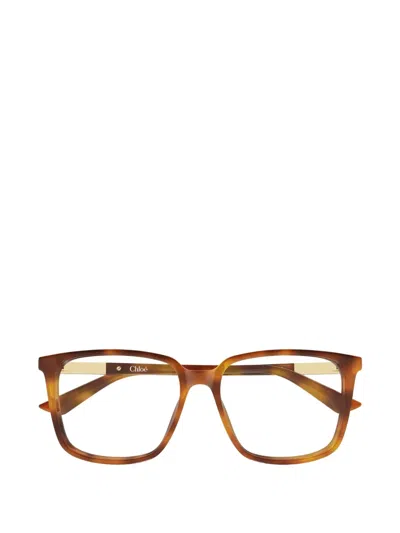 Chloé Square-frame Glasses In Brown
