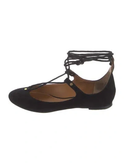Pre-owned Chloé Suede Ballet Flats In Black