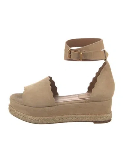 Pre-owned Chloé Suede Braided Accents Espadrilles In Neutral