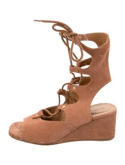 Pre-owned Chloé Suede Cutout Accent Gladiator Sandals In Brown