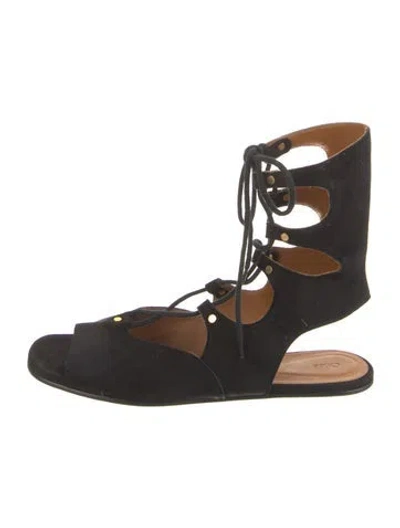 Pre-owned Chloé Suede Gladiator Sandals In Black