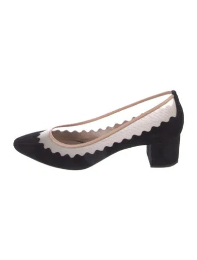 Pre-owned Chloé Suede Mesh Accents Pumps In Black