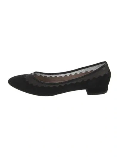 Pre-owned Chloé Suede Scalloped Accent Ballet Flats In Black