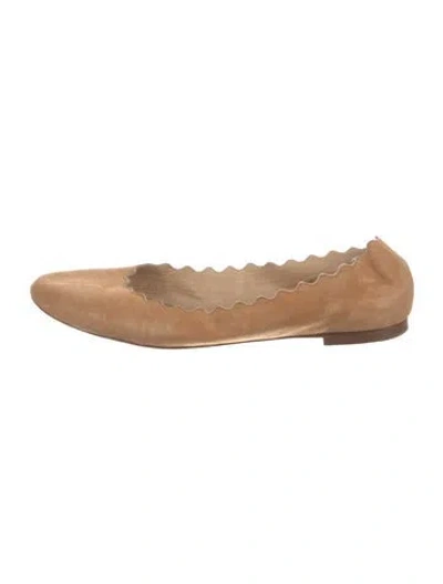 Pre-owned Chloé Suede Scalloped Accent Ballet Flats In Brown