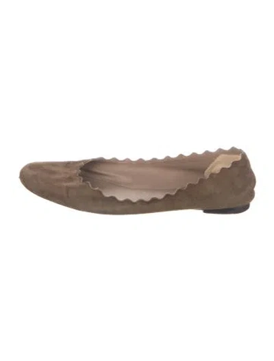 Pre-owned Chloé Suede Scalloped Accent Ballet Flats In Brown
