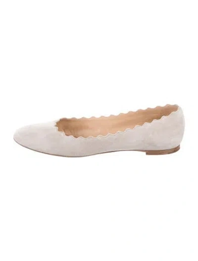 Pre-owned Chloé Suede Scalloped Accent Ballet Flats In Gray