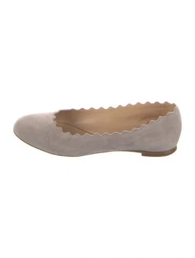Pre-owned Chloé Suede Scalloped Accent Ballet Flats In Gray