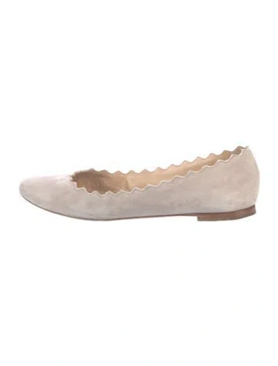 Pre-owned Chloé Suede Scalloped Accent Ballet Flats In Gray