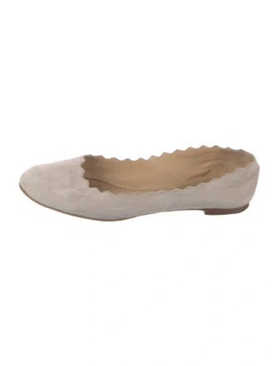 Pre-owned Chloé Suede Scalloped Accent Ballet Flats In Gray