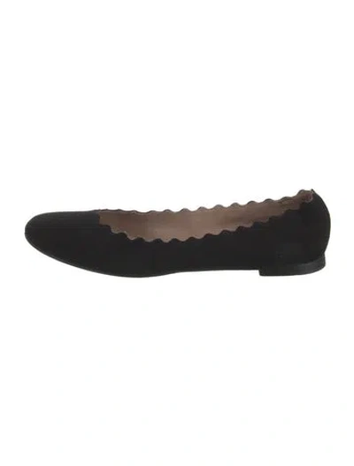 Pre-owned Chloé Suede Scalloped Accent Flats In Black