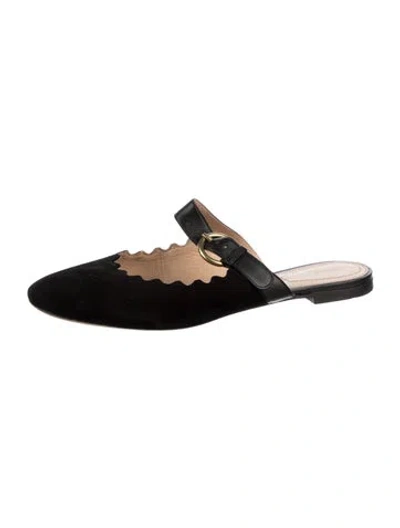 Pre-owned Chloé Suede Scalloped Accent Mules In Black