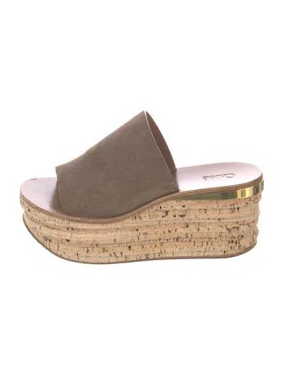 Pre-owned Chloé Suede Slides In Green