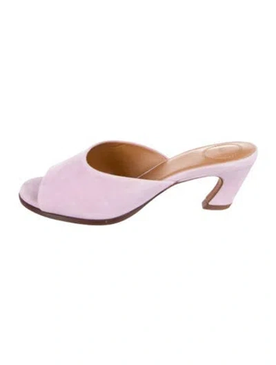 Pre-owned Chloé Suede Slides In Purple