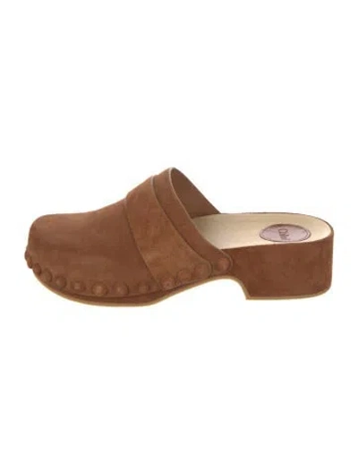 Pre-owned Chloé Suede Studded Accents Mules In Brown