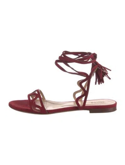 Pre-owned Chloé Suede Tassel Accents Gladiator Sandals In Burgundy