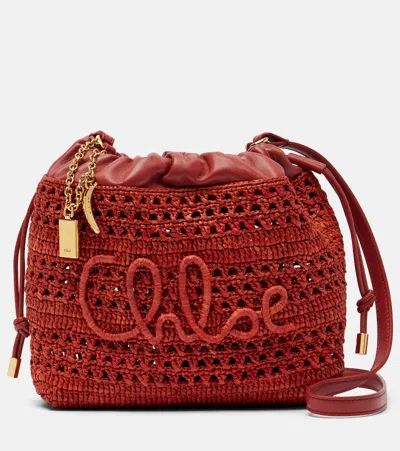 Chloé Summer Banana Mini Raffia Shoulder Bag In Red